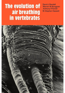 The Evolution of Air Breathing in Vertebrates