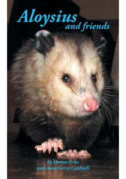 Aloysius