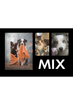 Fotoalbum kieszeniowy zgrzewany Adore MIX