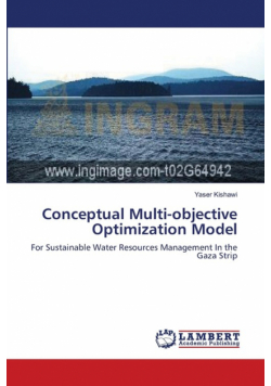 Conceptual Multi-objective Optimization Model
