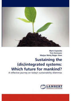 Sustaining the (dis)integrated systems