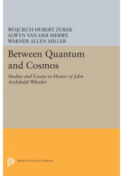 Between Quantum and Cosmos