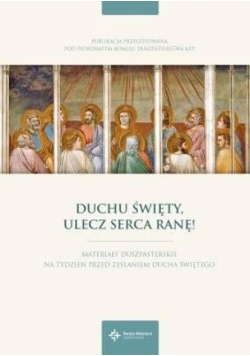 Duchu Święty, ulecz serca ranę!