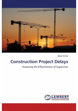 Construction Project Delays