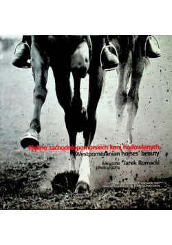 Piękno Zachodniopomorskich Koni Hodowlanych