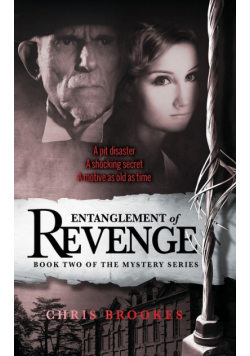 Entanglement Of Revenge