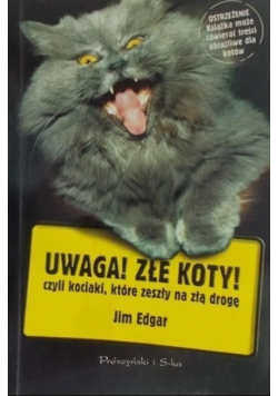 Uwaga Złe koty czyli kociaki które zeszły na złą drogę