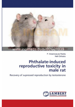 Phthalate-induced reproductive toxicity in male rat