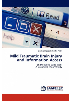 Mild Traumatic Brain Injury and Information Access