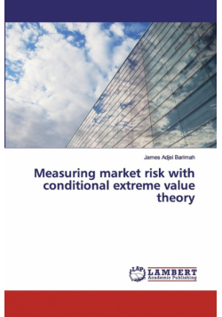 Measuring market risk with conditional extreme value theory