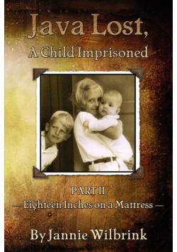 Java Lost, A Child Imprisoned - II