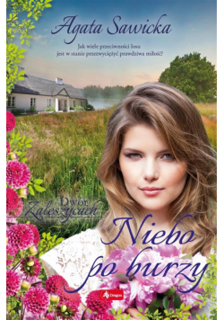 Dwór w Zaleszycach T.3 Niebo po burzy