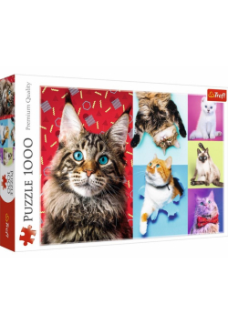 Puzzle 1000 Wesołe koty TREFL