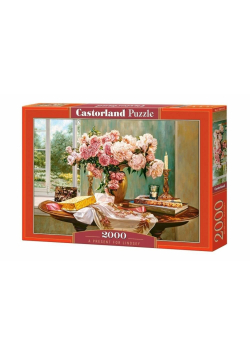Puzzle 2000 A present for Lindsey CASTOR