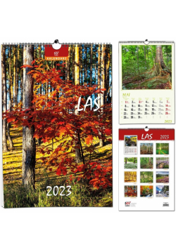 Kalendarz 2023 13 Plansz B3 - Las