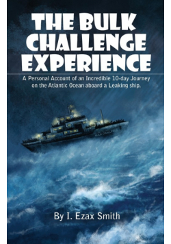 The Bulk Challenge Experience