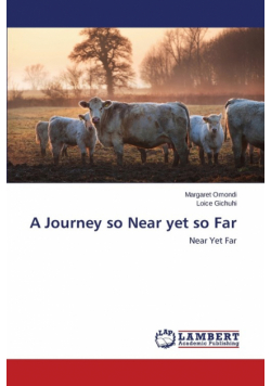 A Journey so Near yet so Far