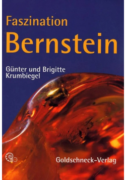 Faszination Bernstein