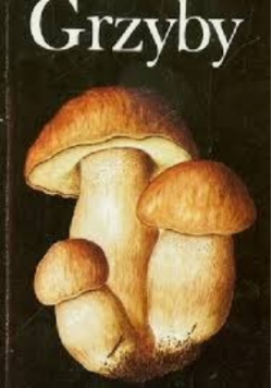 Grzyby