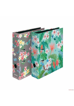 Segregator A4 8cm Ladylike max file