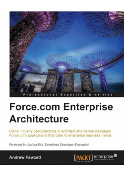 Force.com Enterprise Architecture