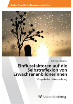 Einflussfaktoren auf die Selbstreflexion von ErwachsenenbildnerInnen