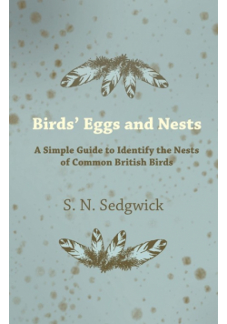 Birds' Eggs and Nests - A Simple Guide to Identify the Nests of Common British Birds