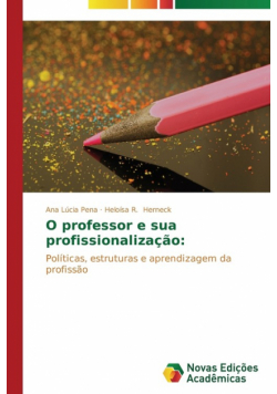 O professor e sua profissionalização