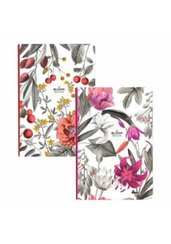 Brulion B5/80K linia Bloom book ASTRA