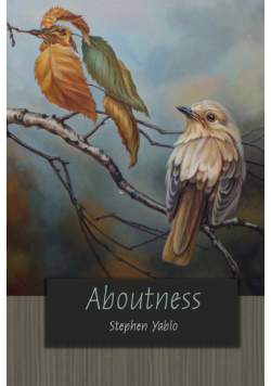 Aboutness