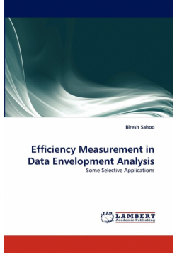 Efficiency Measurement in Data Envelopment Analysis