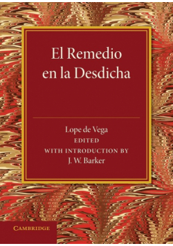 El Remedio En La Desdicha