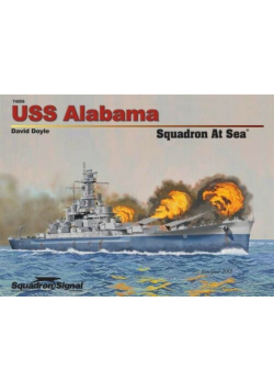 USS Alabama Squadron At Sea Doyle