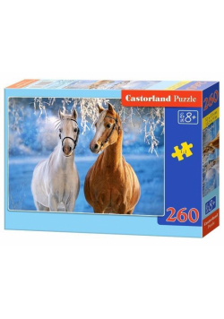 Puzzle 260 Zimowe konie CASTOR