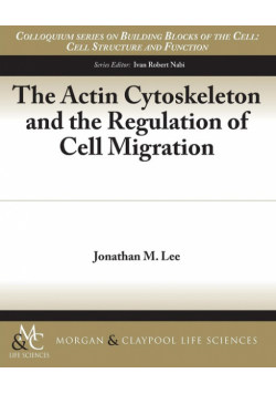 The Actin Cytoskeleton and the Regulation of Cell Migration