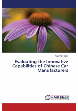Evaluating the Innovative Capabilities of Chinese Car Manufacturers