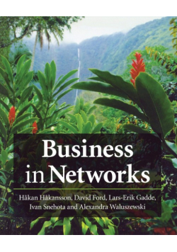 Business in Networks
