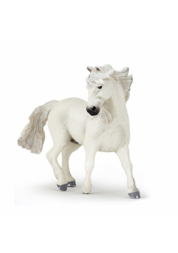 Koń Camargue
