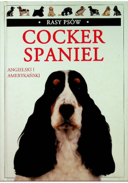 Cocken Spaniel
