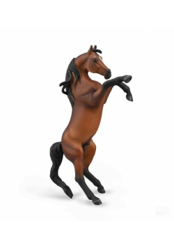 Arabian Stallion - Rearing Bay