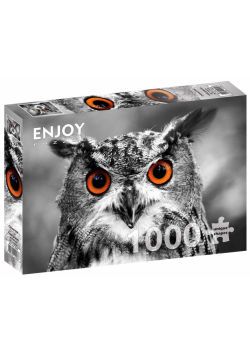 Puzzle 1000 Ciekawska sowa