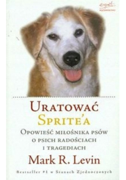 Uratować Sprite a