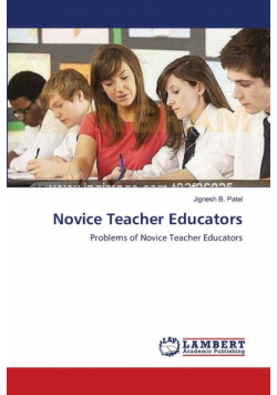 Novice Teacher Educators