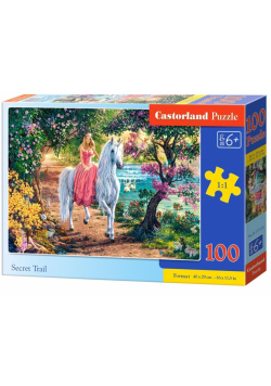 Puzzle 100 Secret Trail CASTOR