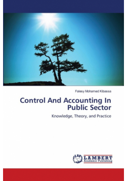 Control And Accounting In Public Sector