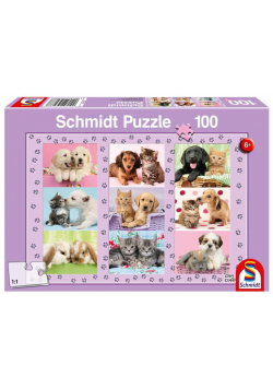 Puzzle 100 Przyjaciele G3