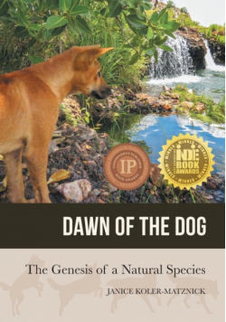 Dawn of the Dog