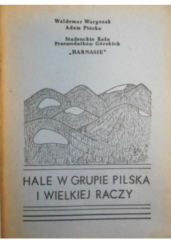 Hale w grupie Pilska i Wielkiej Raczy