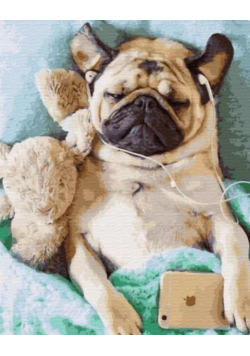 Malowanie po numerach - Śpiący mops 40x50cm