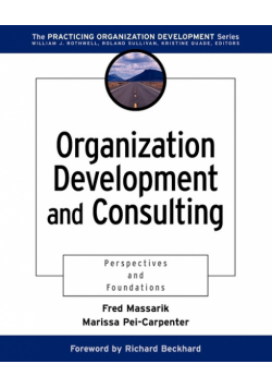 Organization Development and Consulting